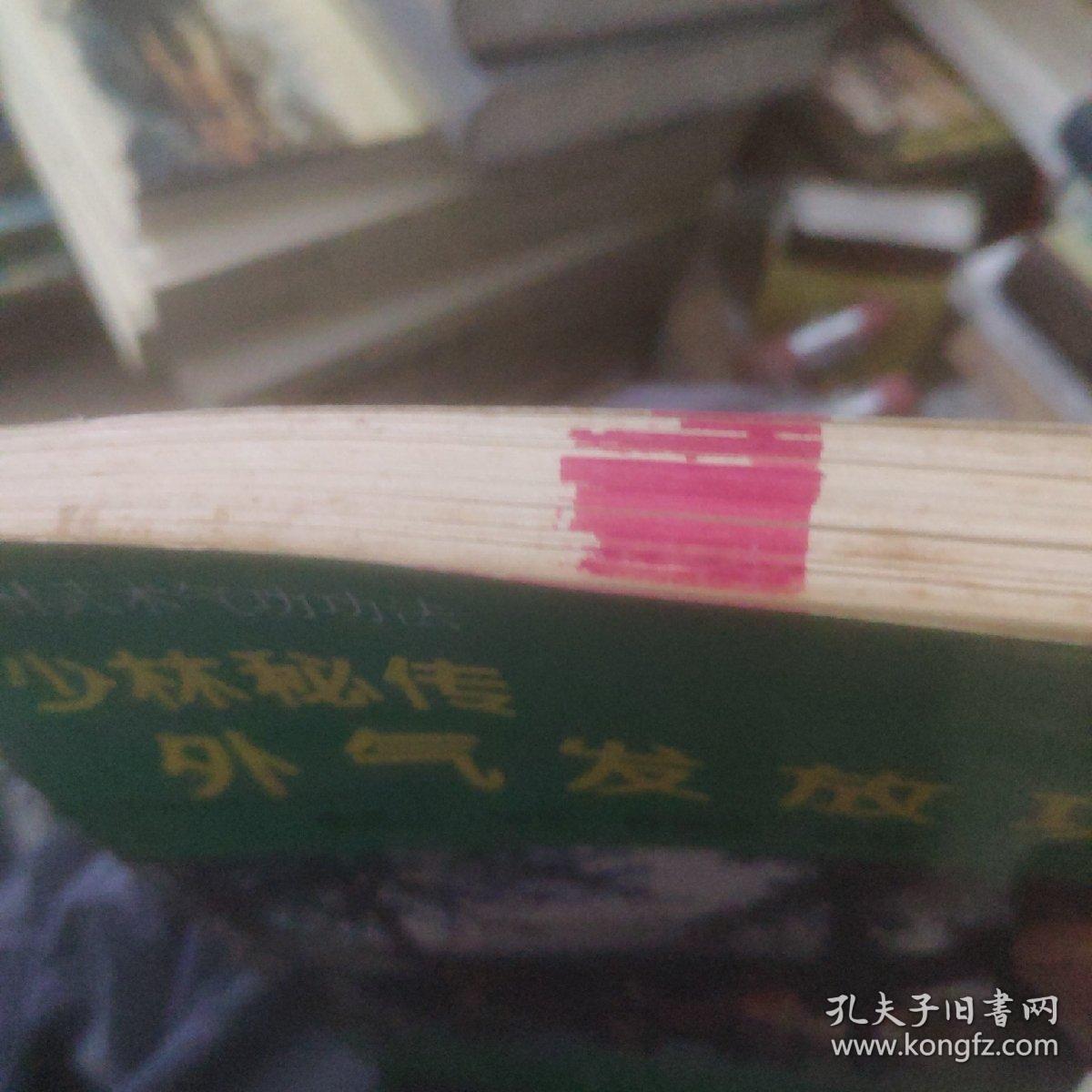 少林秘传外气发放功