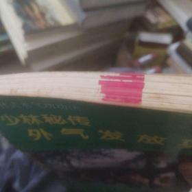 少林秘传外气发放功