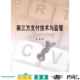 第三方支付技术与监督