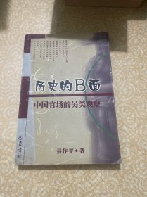 历史的B面：一个新锐作家的另类史观