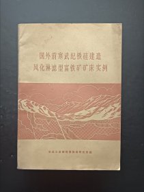 国处前寒武纪铁硅建造风化淋滤型富铁矿矿床实例