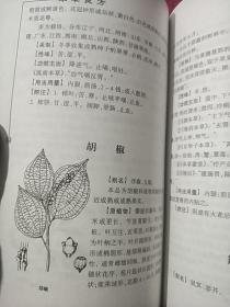 新编本草良方大全