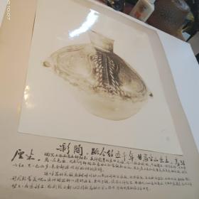 六十年代照片一张 彩陶 无锡师范（历史研究组）宣传展览39X34厘米（内29X25厘米）九五品A医上区