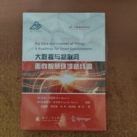 大数据科技译丛 大数据与物联网：面向智慧环境路线图