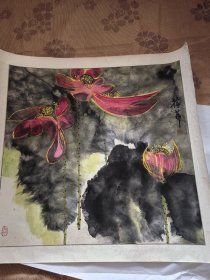 荷花