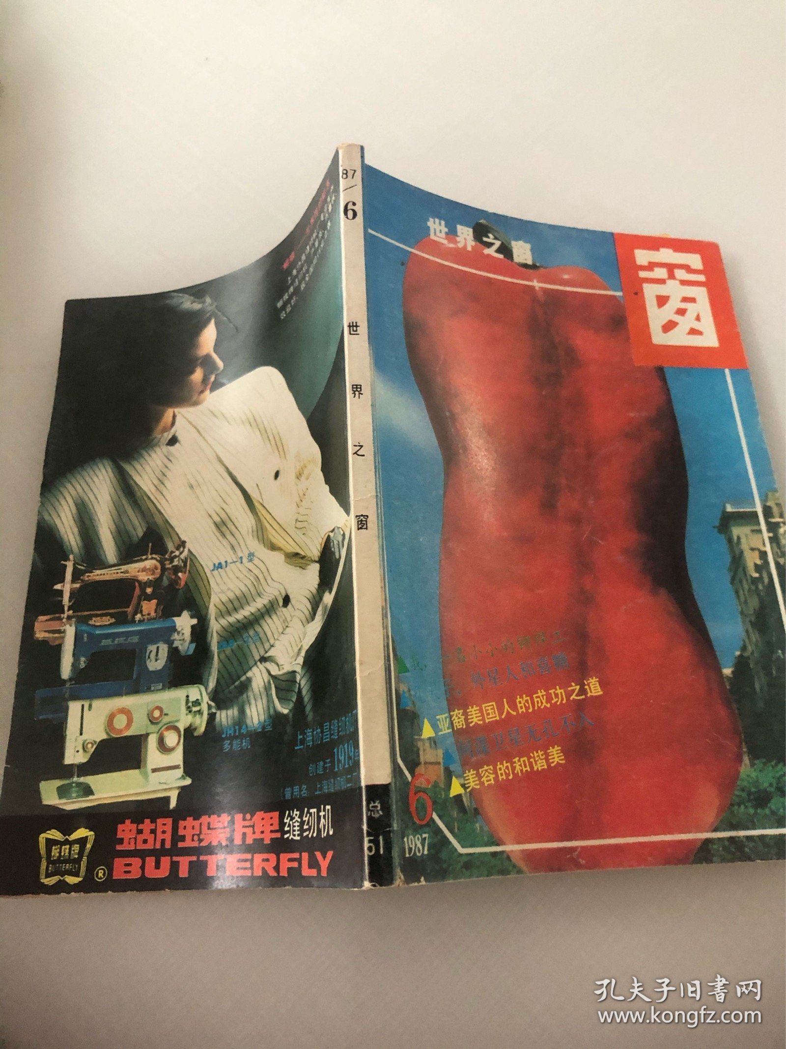 《世界之窗》杂志