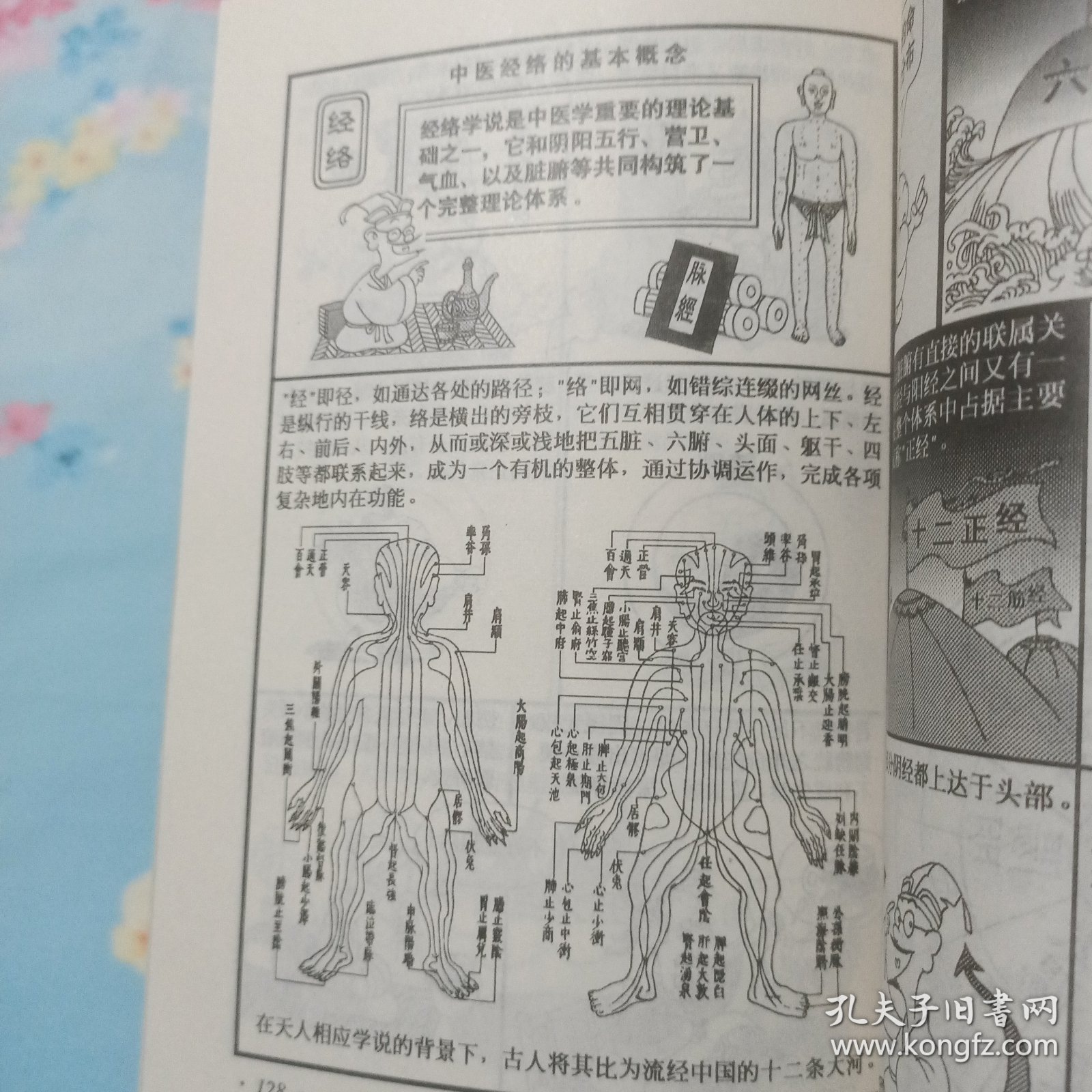 中医养生图典-中国传统文化丛书