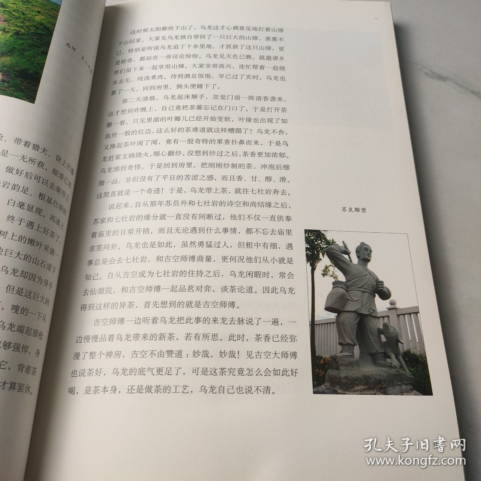 铁观音的前世今生