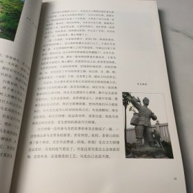 铁观音的前世今生