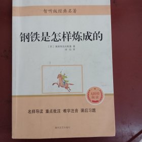 钢铁是怎样炼成的（智听版无障碍阅读）/经典名著轻松读+考