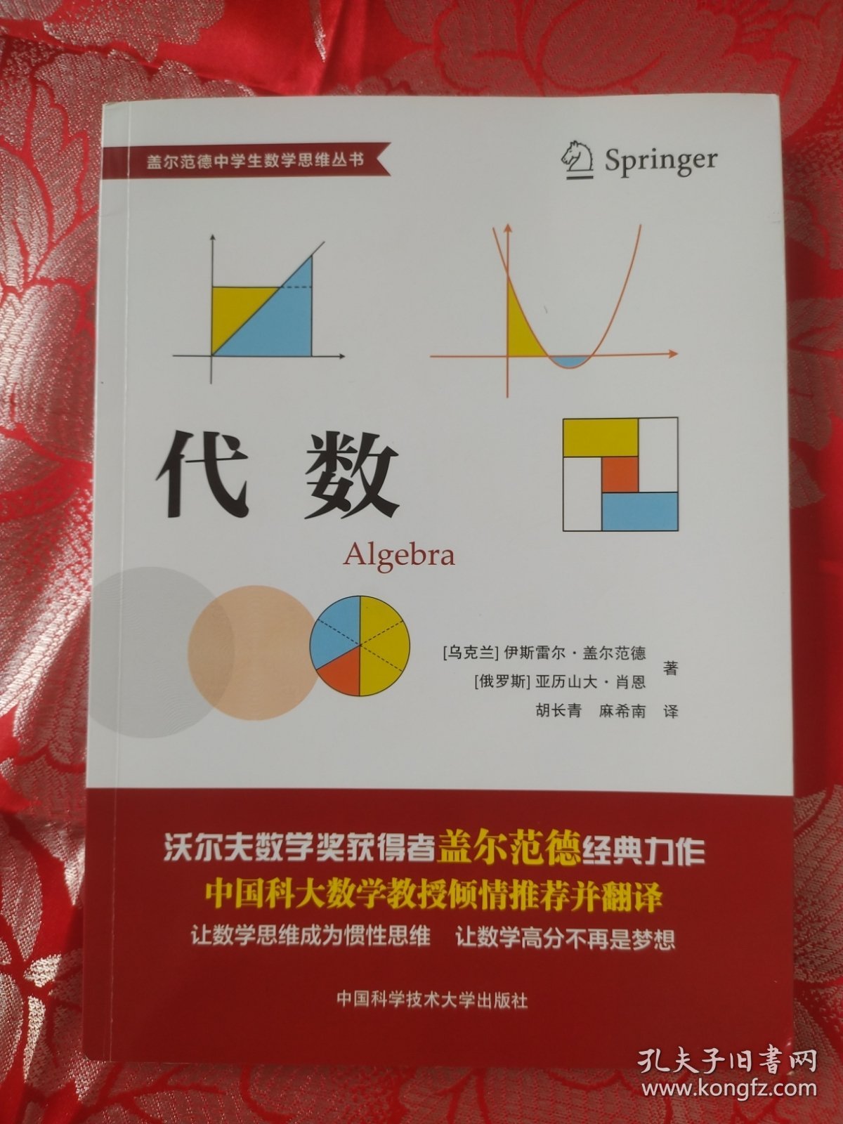 代数（盖尔范德中学生数学思维丛书）