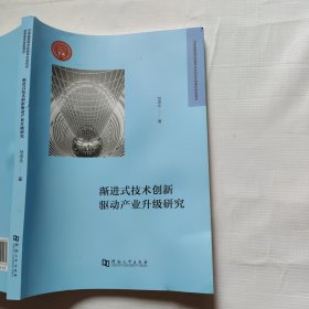 渐进式技术创新驱动产业升级研究