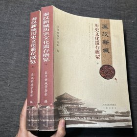 秦汉新城历史文化遗存概览 上下