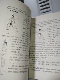 传统少林拳套路教程 第二、三卷【2册合售】