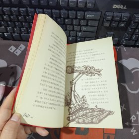 野兽帮之（五）大搜捕