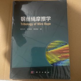 钢丝绳摩擦学