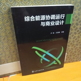 综合能源协调运行与商业设计