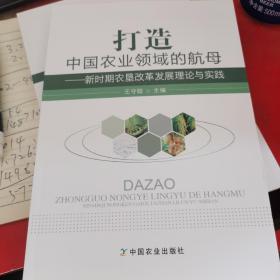 打造中国农业领域的航母：新时期农垦改革发展理论与实践