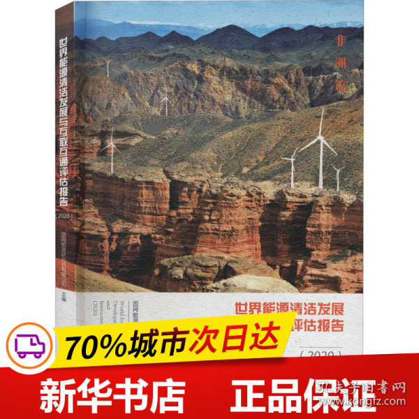 世界能源清洁发展与互联互通评估报告2020