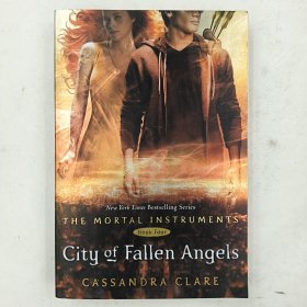 City of Fallen Angels (The Mortal Instruments, Book 4)凡人圣物4：堕落天使之城