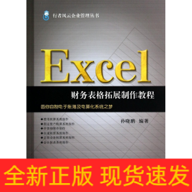 Excel财务表格拓展制作教程/行者风云企业管理丛书