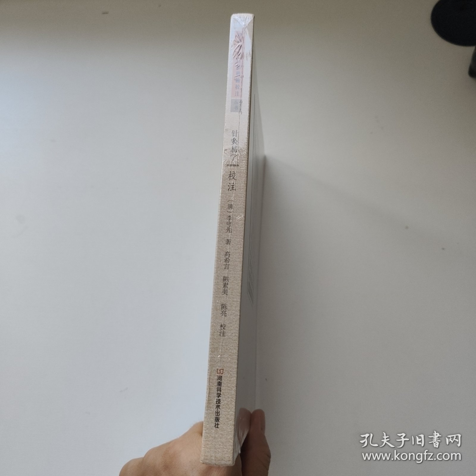 中医名家珍稀典籍校注丛书：针灸易学校注