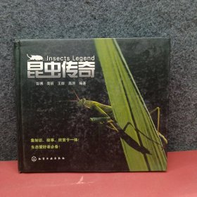 昆虫传奇 附盘