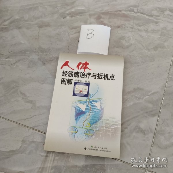 人体经筋病治疗与扳机点图解