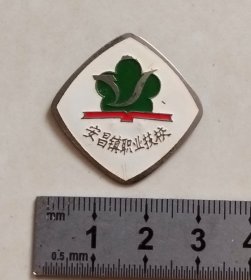 （绍兴）安昌镇职业技校校徽