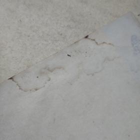 歌午剧刘三姐选曲