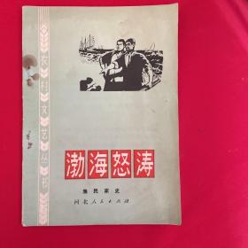 渤海怒涛