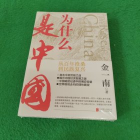 为什么是中国（金一南2020年全新作品。后疫情时代，中国的优势和未来在哪里？面对全球百年未有之大变局，中国将以何应对？） 未拆封