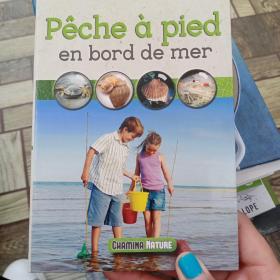Pêche à pied en bord de mer