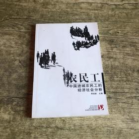 农民工：中国进城农民工的经济社会分析