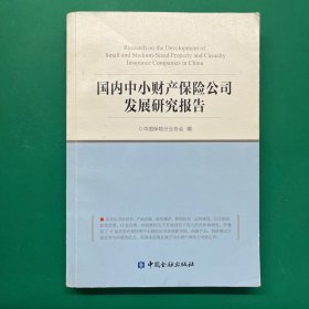 国内中小财产保险公司发展问题研究报告