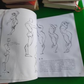 伯里曼人体结构绘画教学