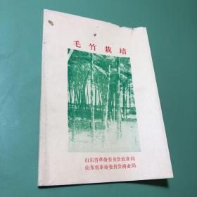 毛竹栽培