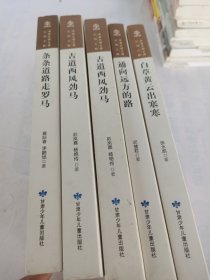 华夏文明文源丝绸之路(5册)