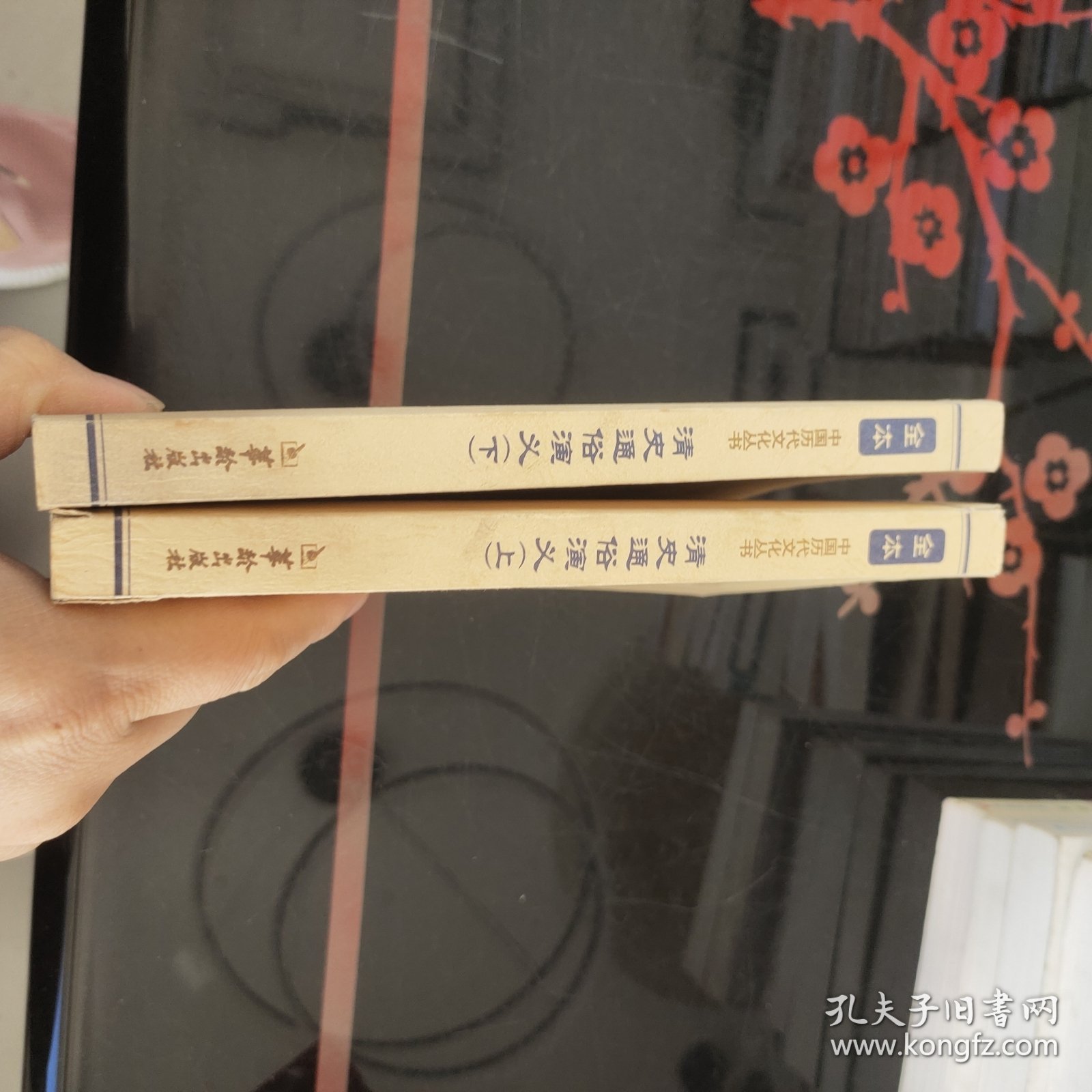 中国历代文化丛书：清史通俗演义 上下