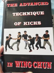 咏春拳高级腿法(The Advanced Technique Of Kicks In Wing Chun)