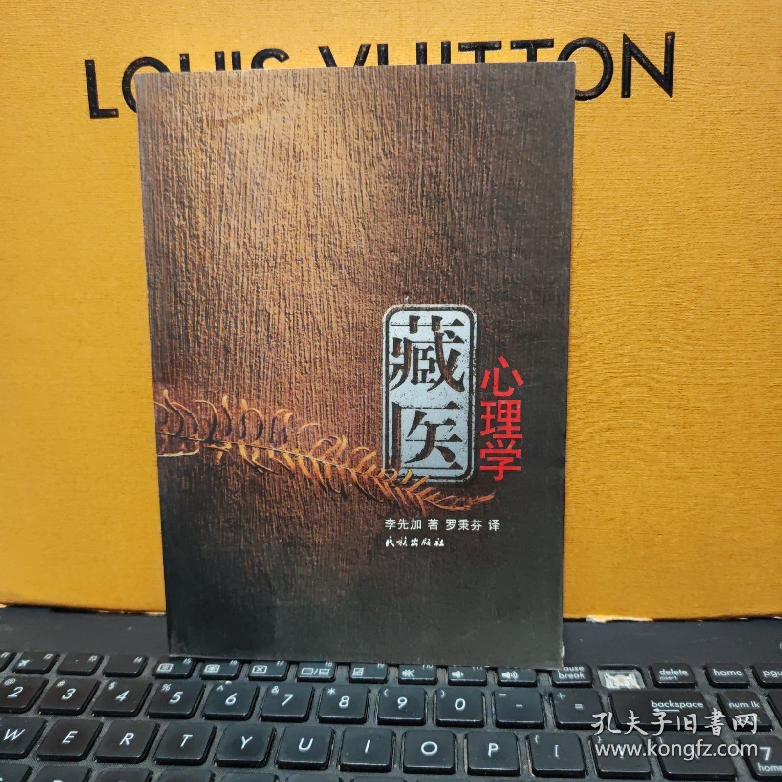 藏医心理学（藏汉对照本，内页干净无笔记，详细目录参照书影）