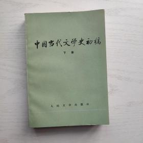 中国当代文学史初稿（上下）