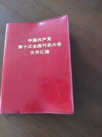 中国共产党第十次全国代表大会文件汇编（红塑料瓶64开）