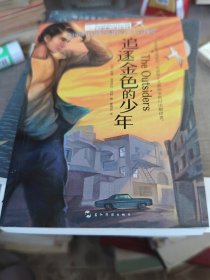 长青藤书系美国图书馆协会最佳青少年读物奖：追逐金色的少年