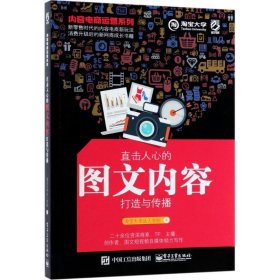 【正版二手】内容电商运营系列(直击人心的图文内容打造与传播)