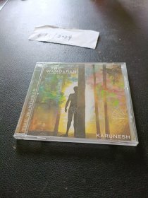 CD：THE WANDERER: JOURNEY OF THE HEART . KARUNESH