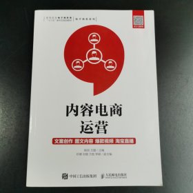 内容电商运营：文案创作图文内容爆款视频淘宝直播