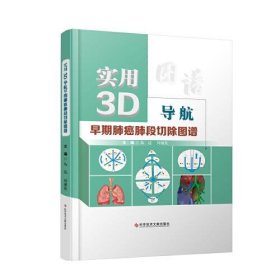 实用3D导航早期肺癌肺段切除图谱