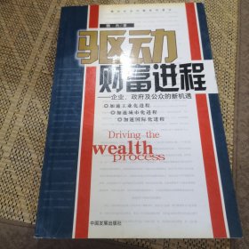 驱动财富进程:企业、政府及公众的新机遇