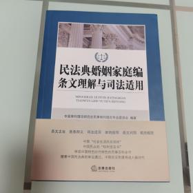 民法典婚姻家庭编条文理解与司法适用